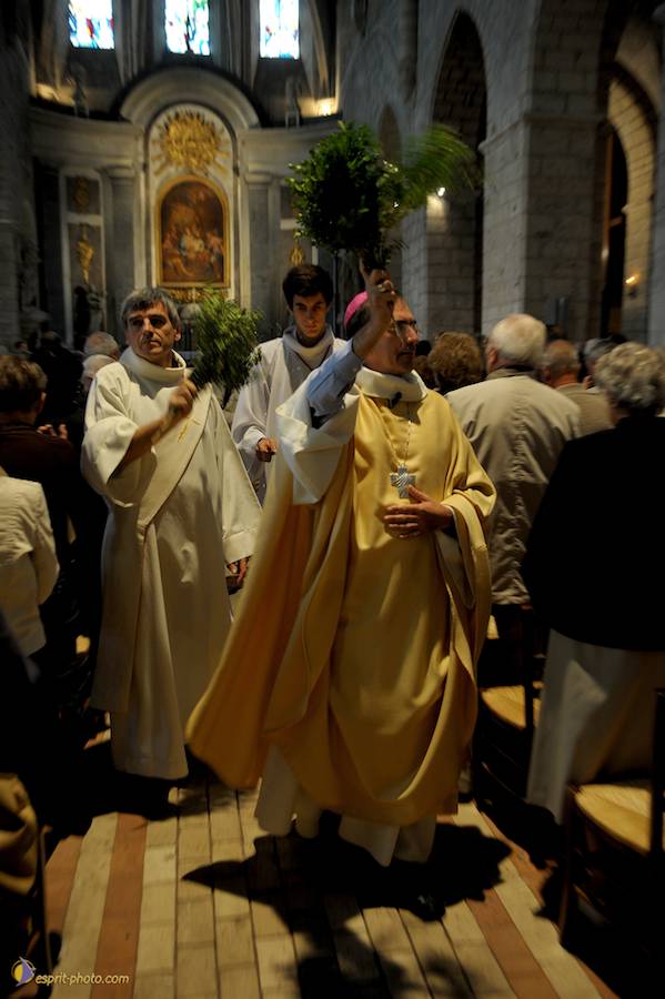 Nom de l'image : D30099635_1_(c)Norbert-JUNG — Description :